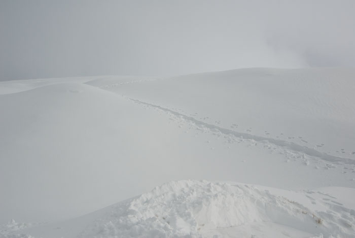 nature-2.jpg
